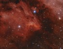 IC 5070 - 2020 | Pelican Nebula