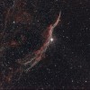 NGC 6960 | Western Veil Nebula
