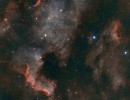 NGC 7000 | Nordamerika Nebel | 2022