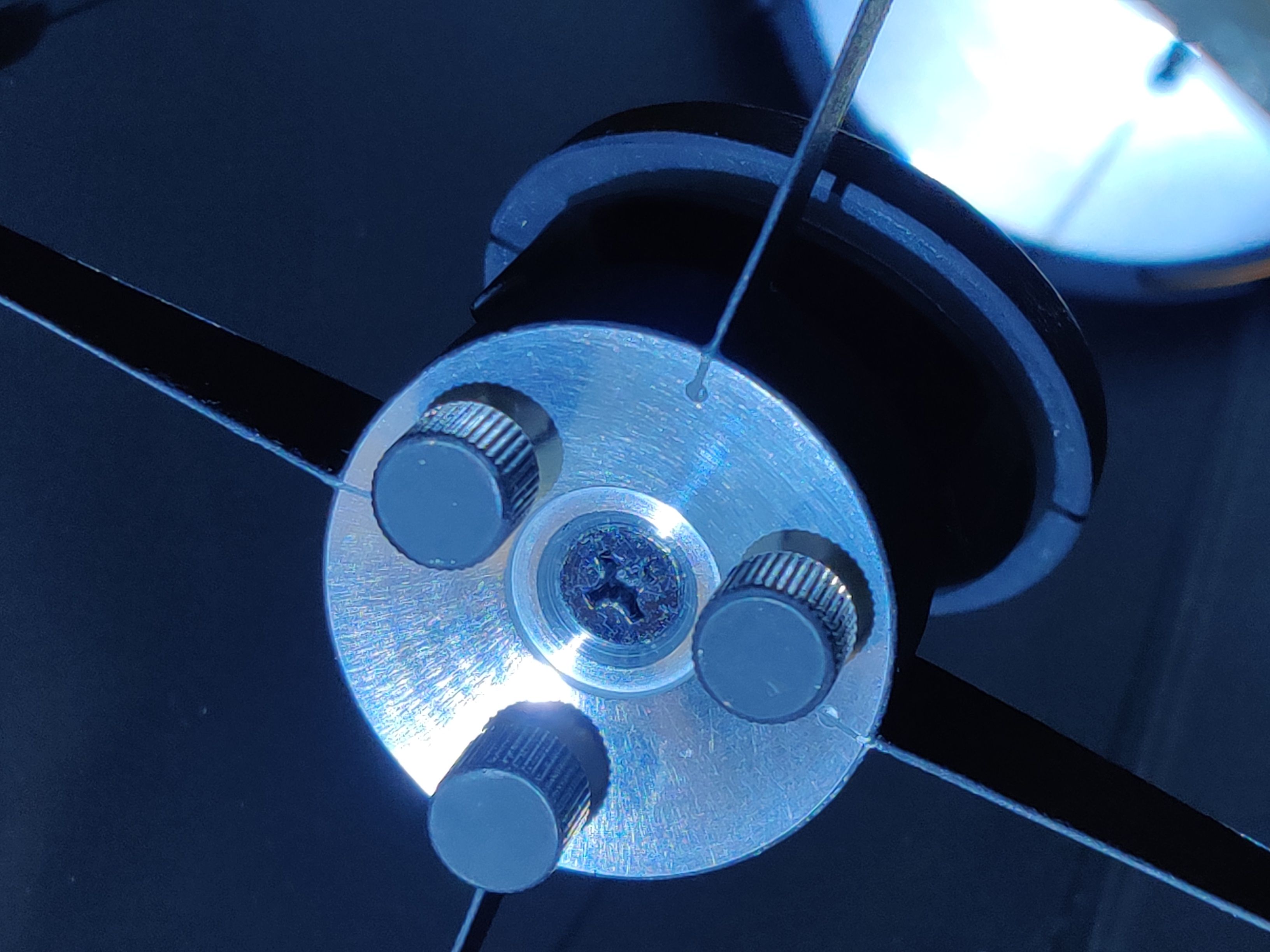 Fangspiegelspinne mit Rändelschrauben